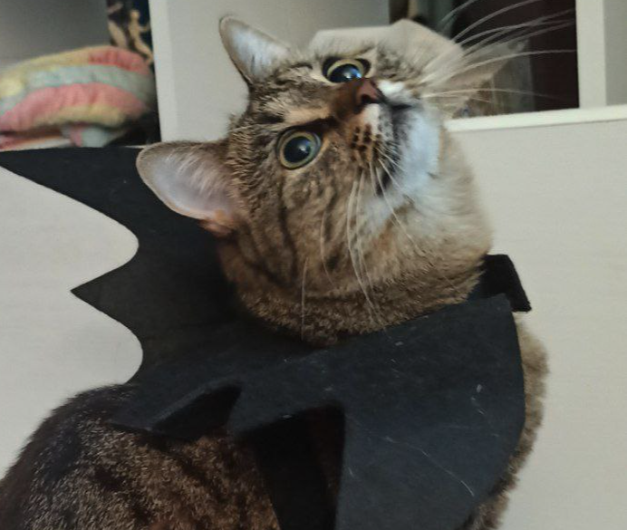 Валентина Малкова