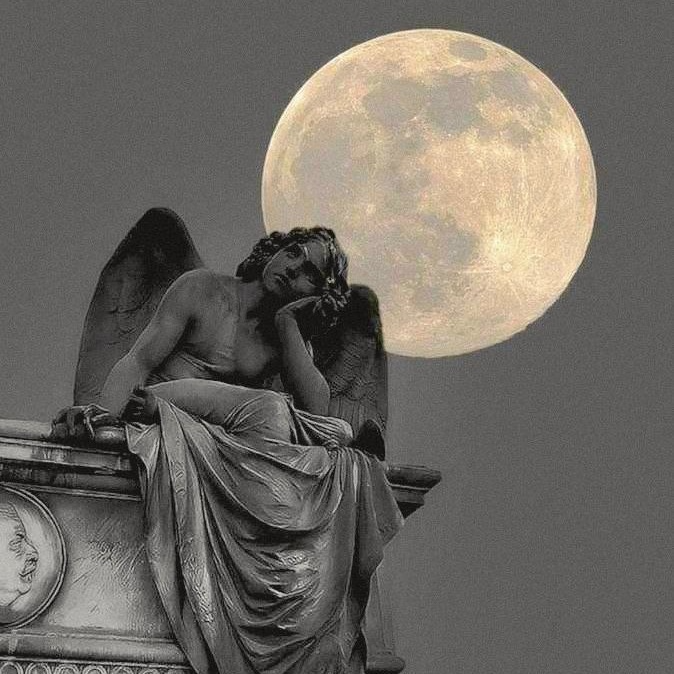 Катарина Брандт