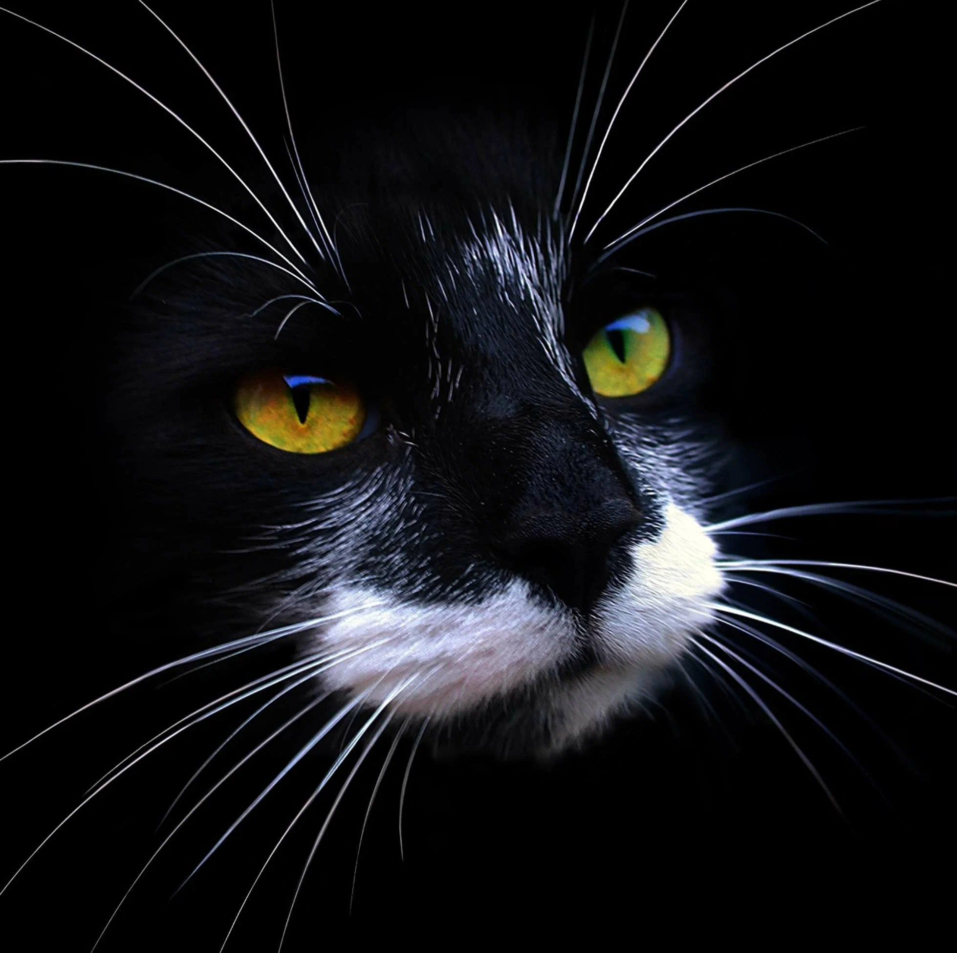 Коткин Андрей