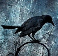 Black Bird