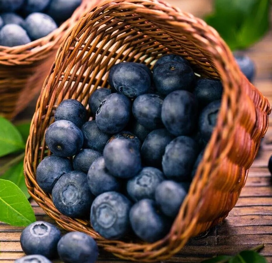 Ириша Сибирская