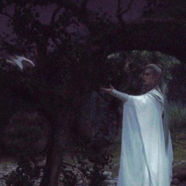 Обложка книги «Звезды меркнут без тебя»