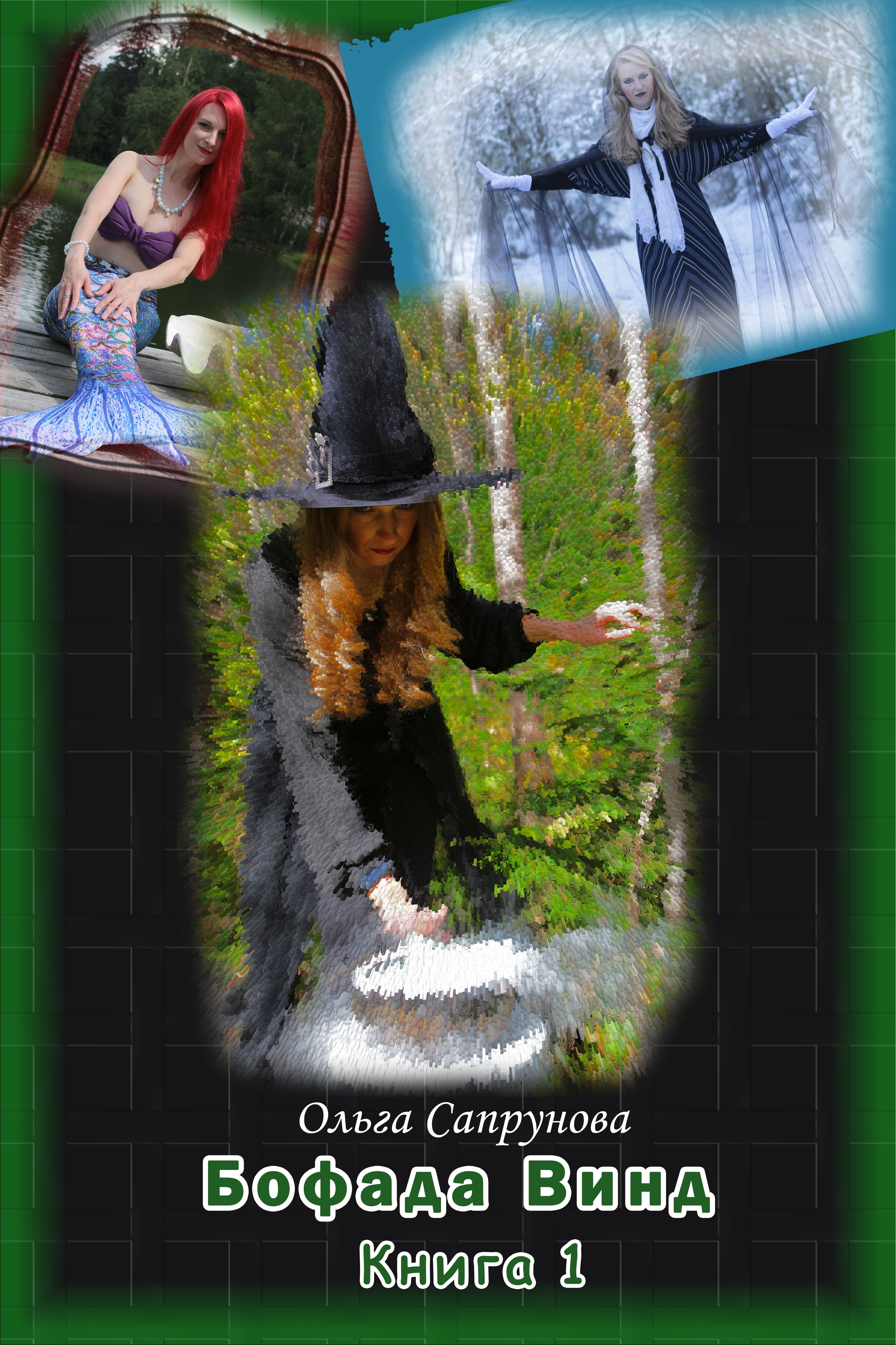 Обложка книги «Бофада Винд Книга 1»