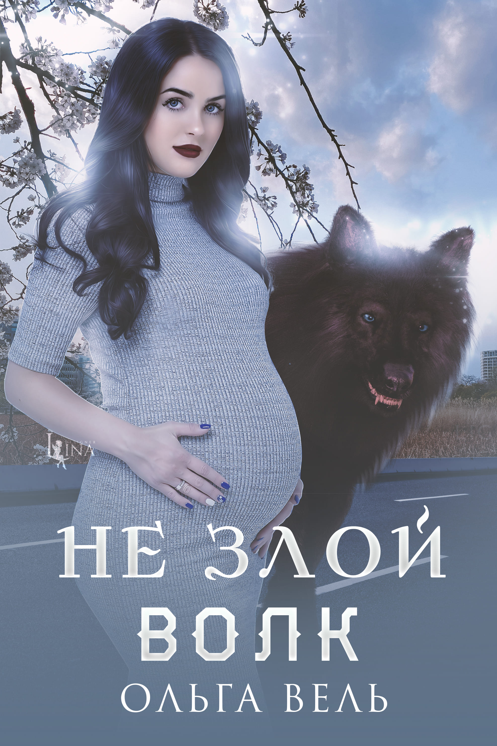 Обложка книги «Не злой волк»