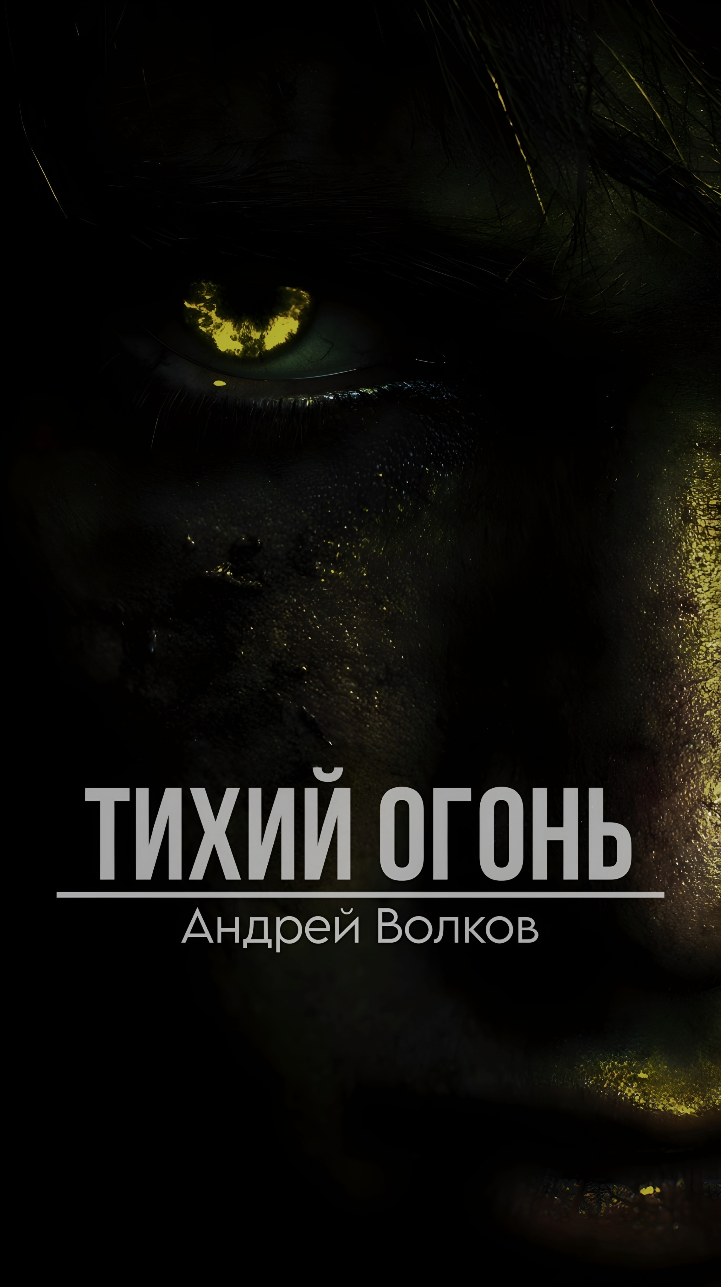 Обложка книги «Тихий огонь»