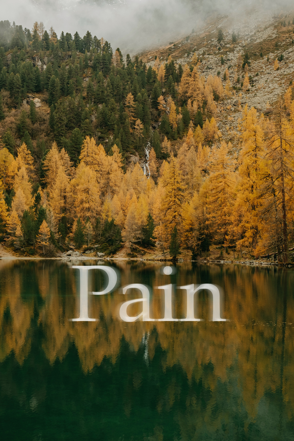 Обложка книги «Pain»