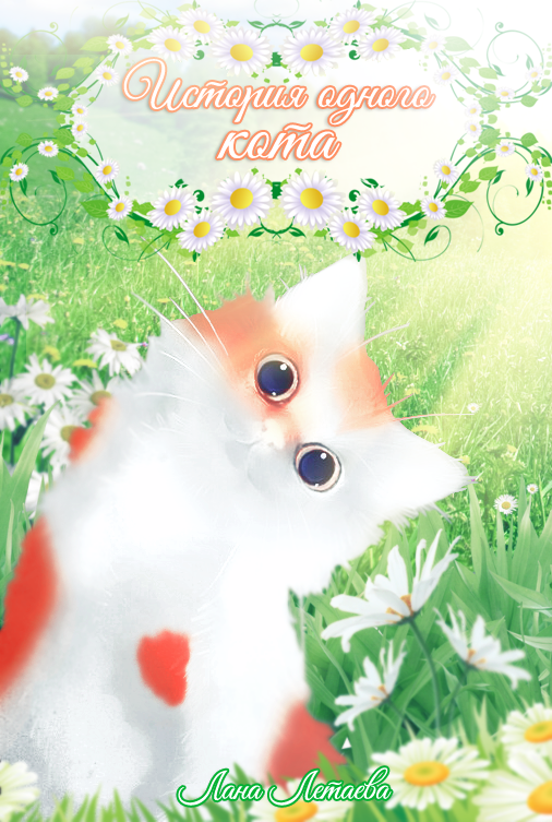 Обложка книги «История одного кота»