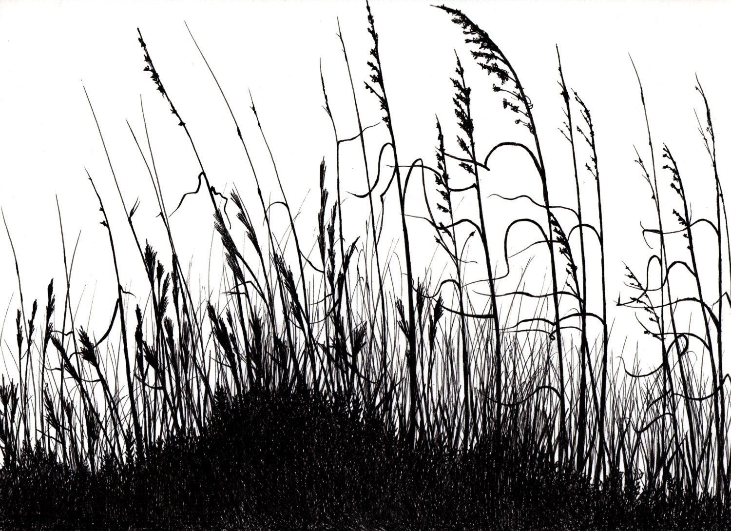 Обложка книги «Тень полей»