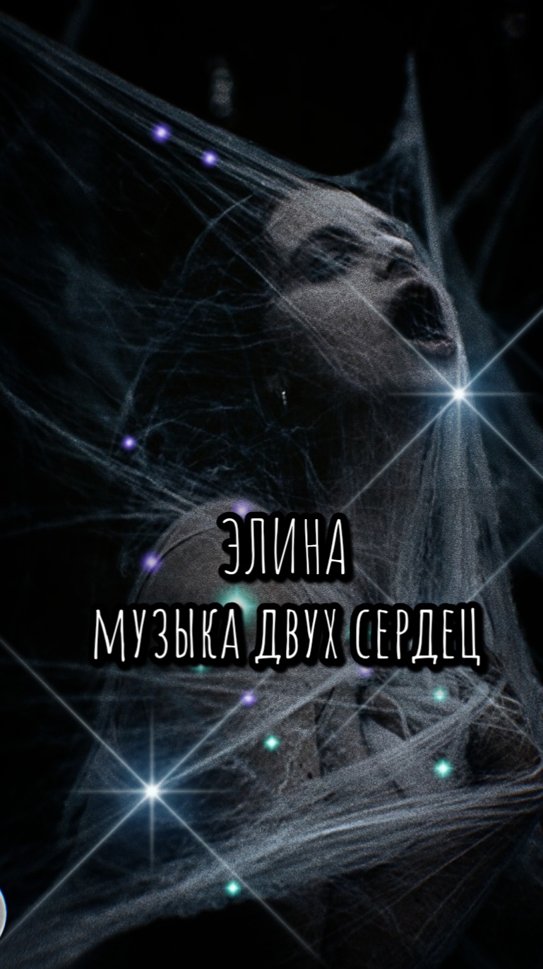 Обложка книги «Элина. Музыка двух сердец.»