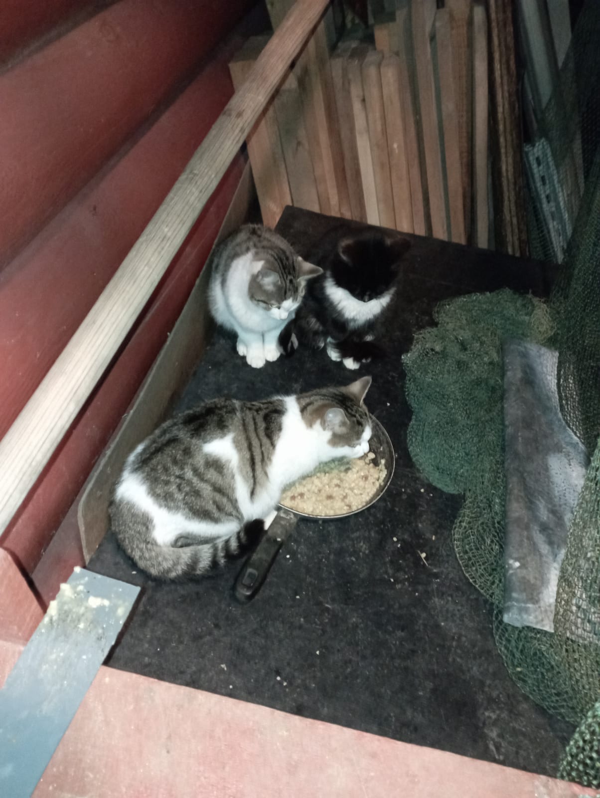 Обложка книги «Эвпогинвашдуг»