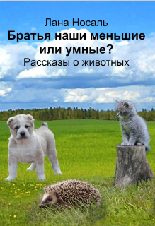 Обложка книги «Братья наши меньшие или умные?»