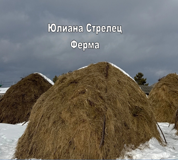 Обложка книги «Ферма»