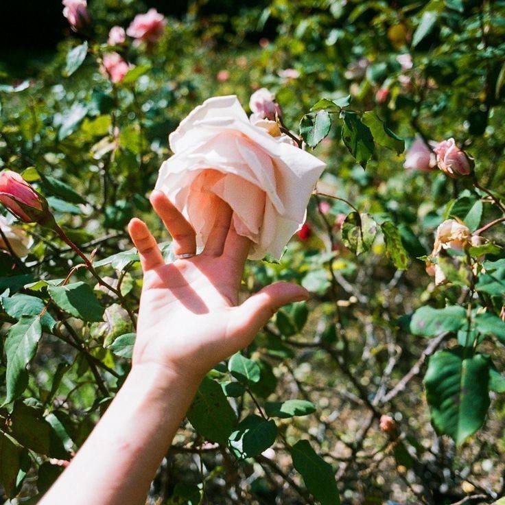 Обложка книги «Откровение Мари»