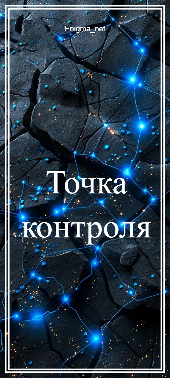 Обложка книги «Точка контроля»