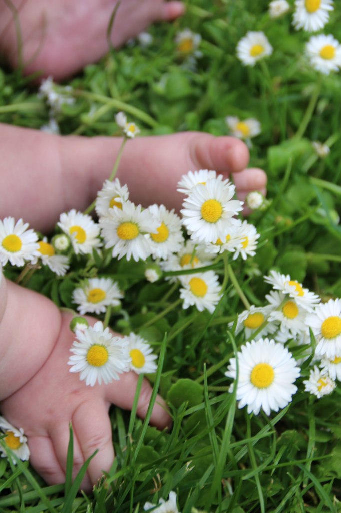 Обложка книги «Любит, не любит, к сердцу прижмёт»