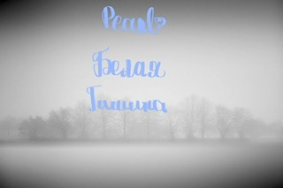 Обложка книги «Белая тишина»