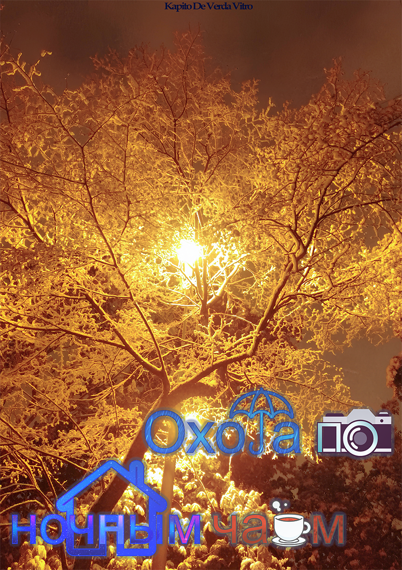 Обложка книги «Охота по ночным чаям»