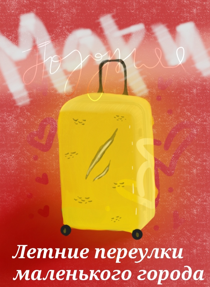 Обложка книги «Домохозяйки и сыск : летние переулки маленького города»