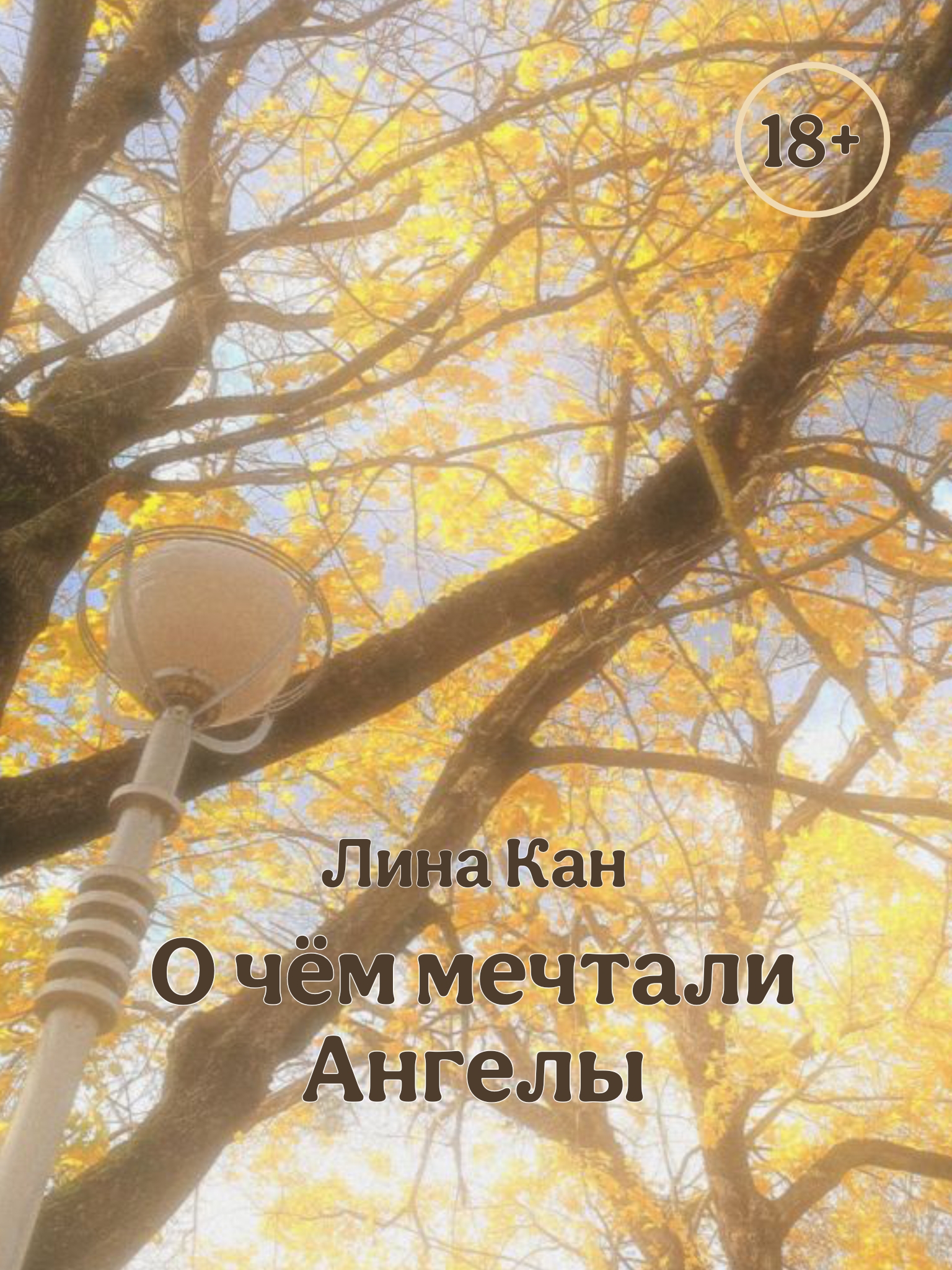 Обложка книги «О чём мечтали Ангелы»