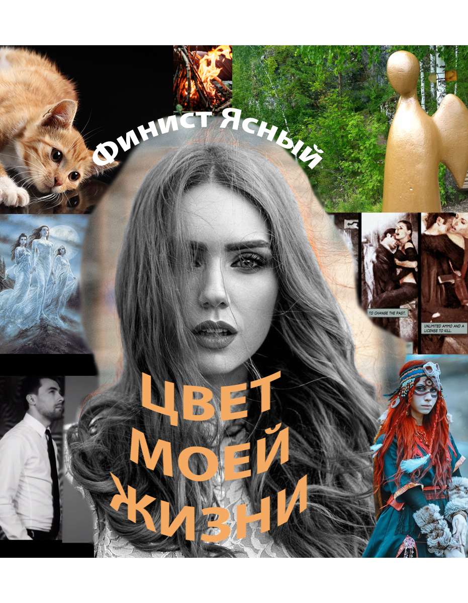 Обложка книги «Цвет моей жизни»