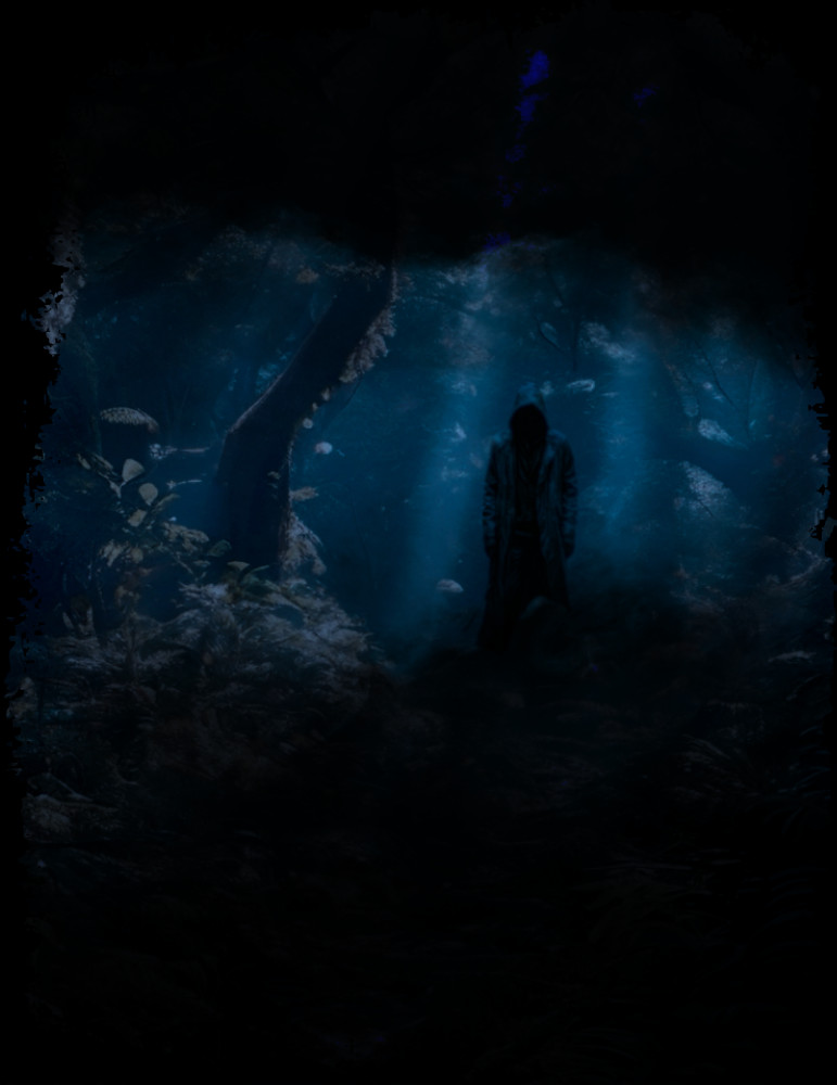 Он прятался за деревьями, высматривая меня