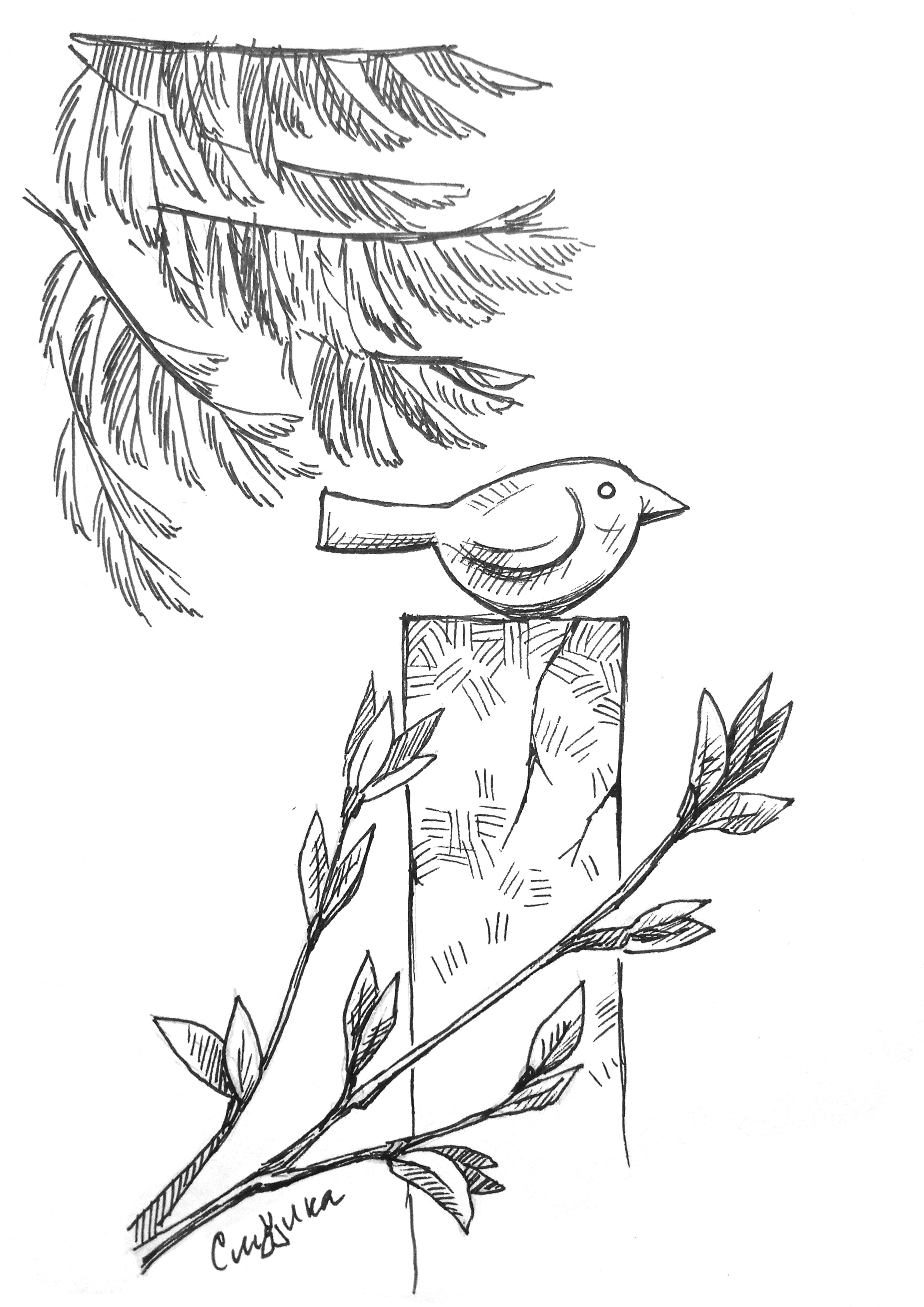 Страж-птичка